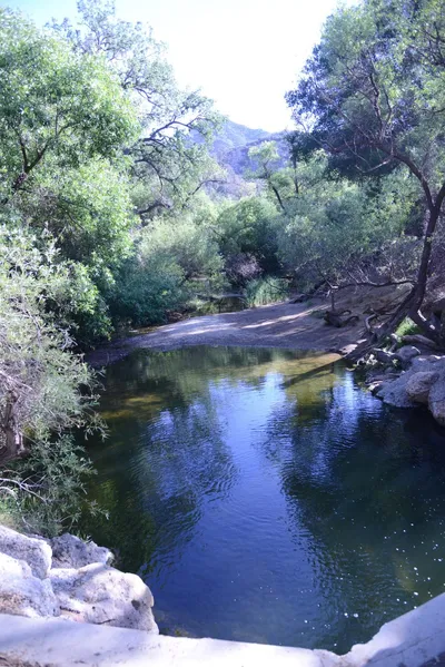 DSC_2064 (Large).JPG